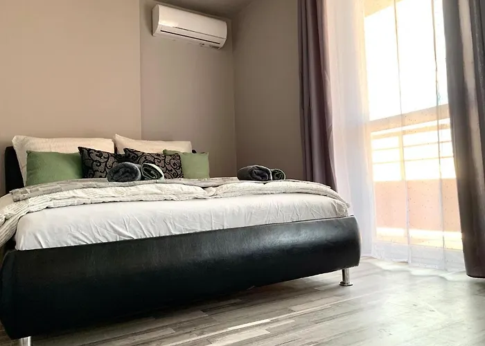 Backyard ميسكولك